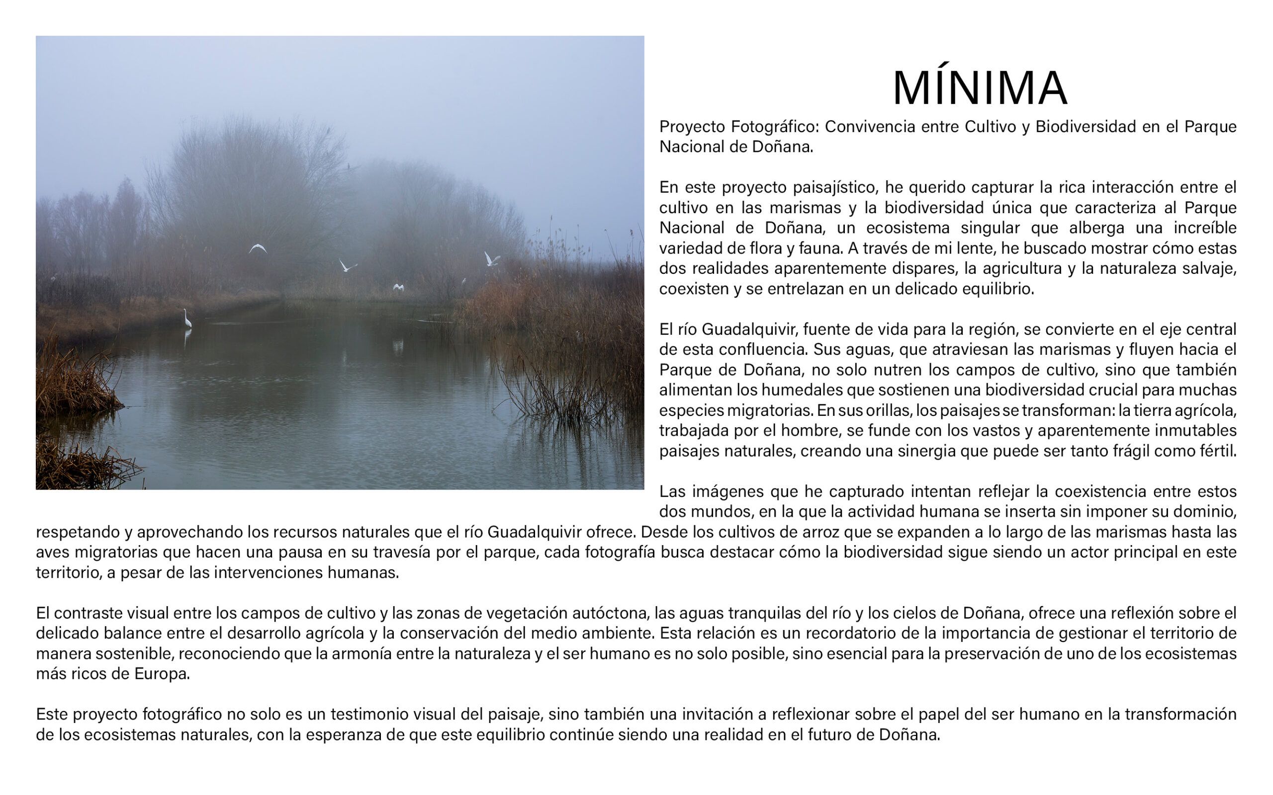Texto y fotografía explicativo del proyecto fotográfico Mínima. Fotografía realizada en el Parque Nacional de Doñana donde quiero mostrar la convivencia entre el cultivo y la Biodiversidad en el Parque Nacional de Doñana.